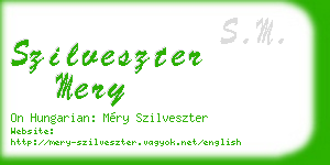 szilveszter mery business card